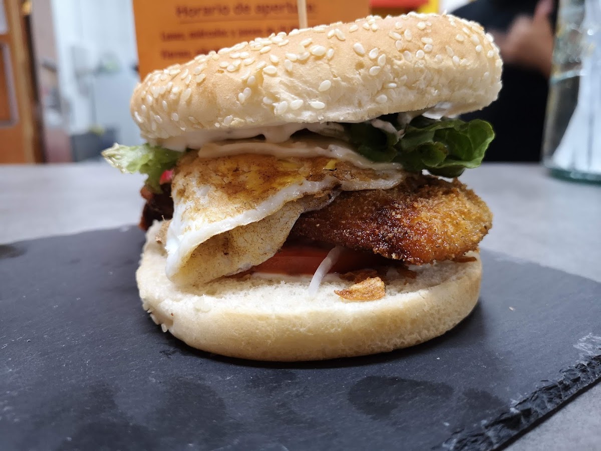 Perrito Star Cardonal-3