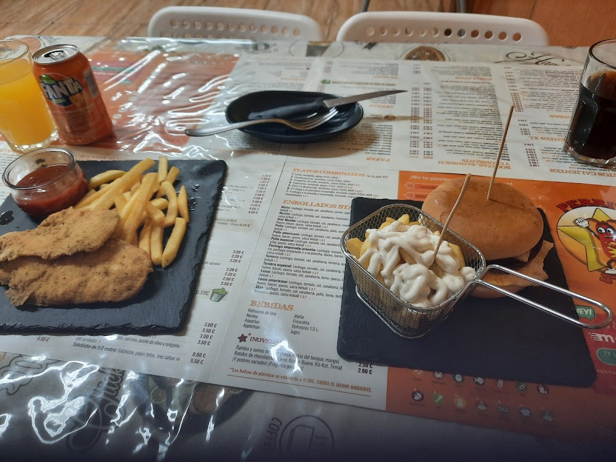 Perrito Star Cardonal-5