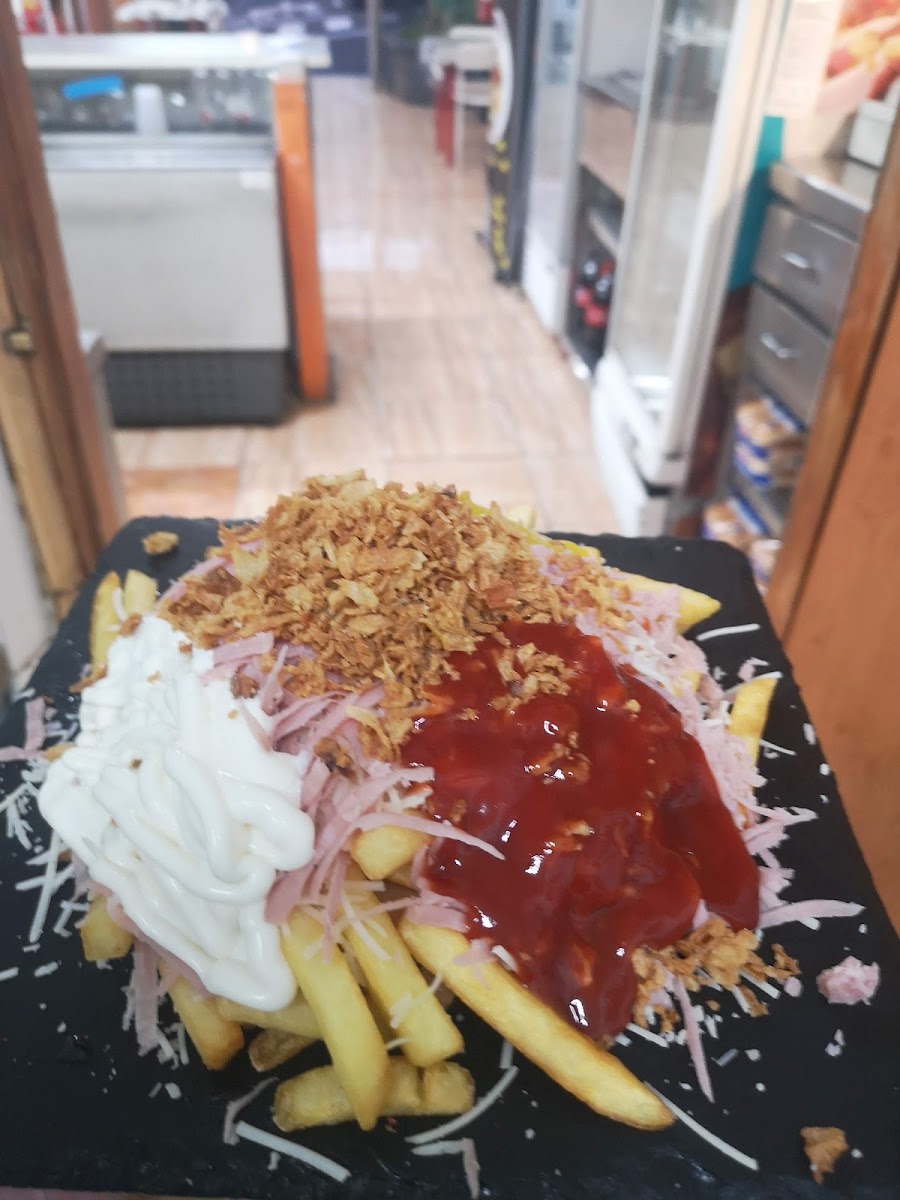 Perrito Star Cardonal-7