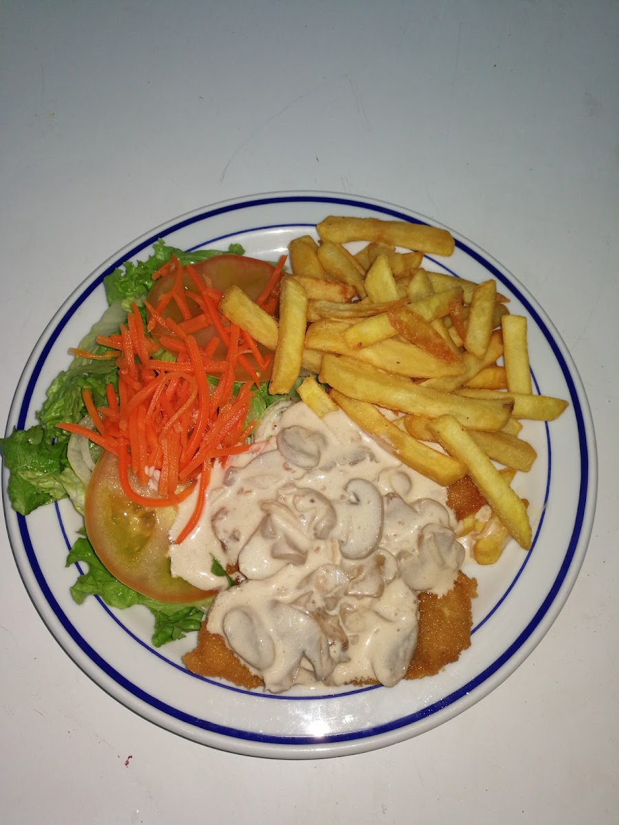 Perrito Star Cardonal-8